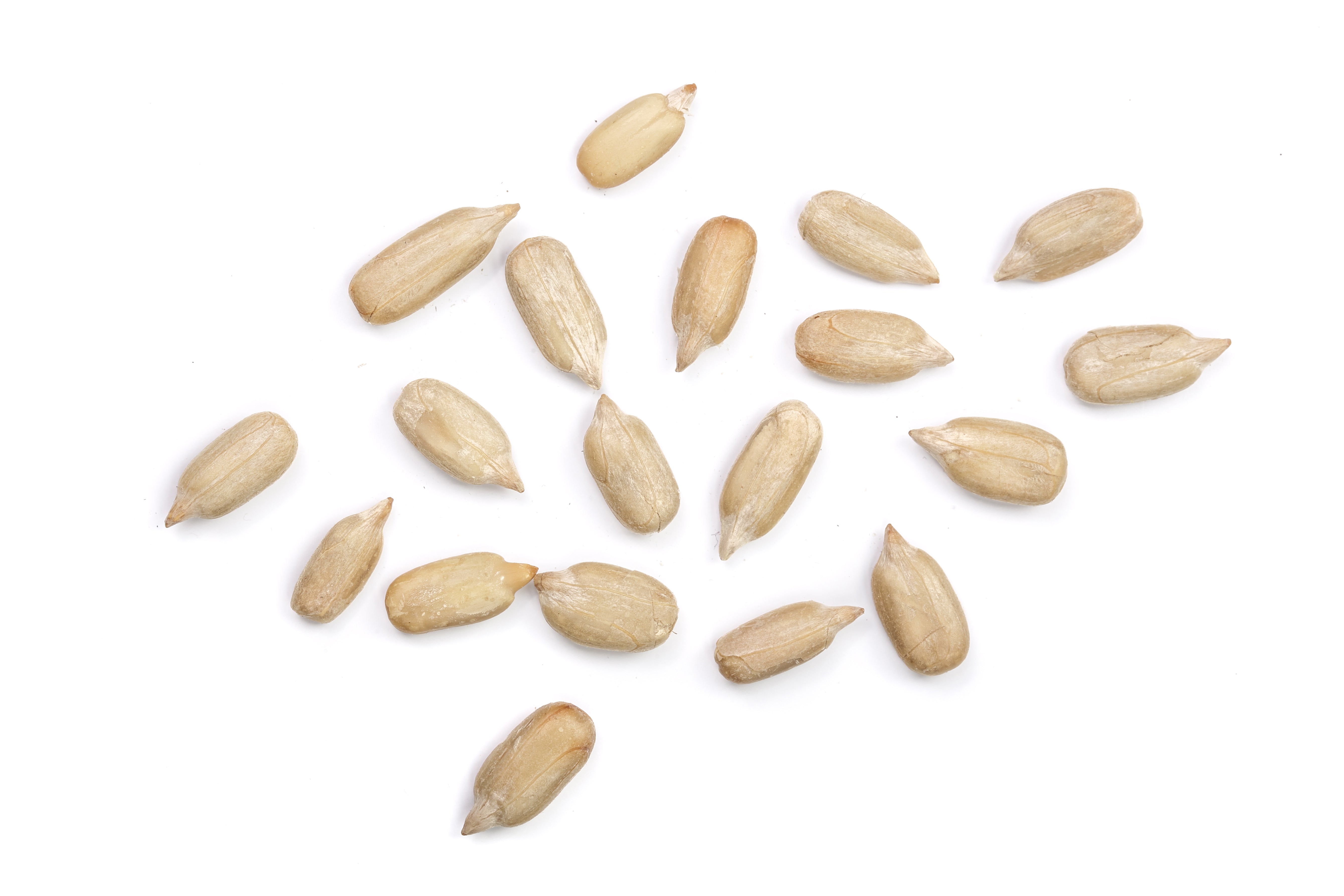 Organic Sunflower Seeds 500G-1Kg